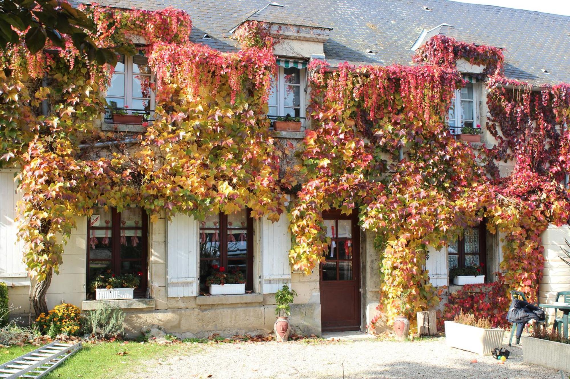 Croutoy Ma Gentilhommiere B&B 외부 사진